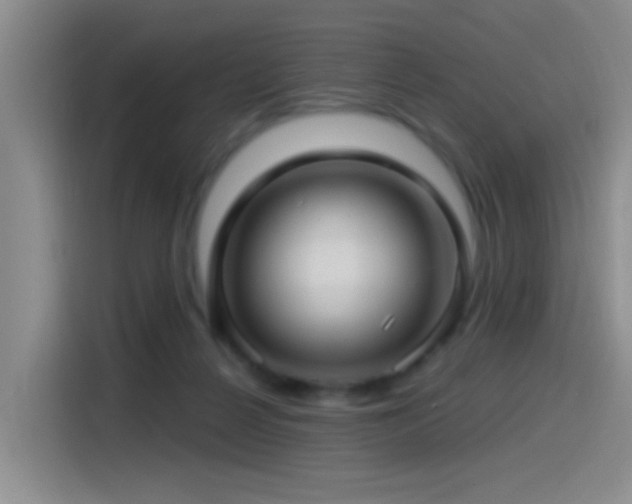 X0000115520264200911061423