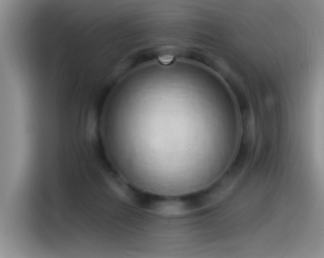 X0000115520266200911061423