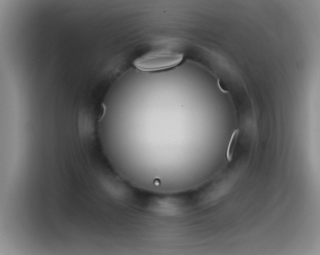 X0000115520268200911061423
