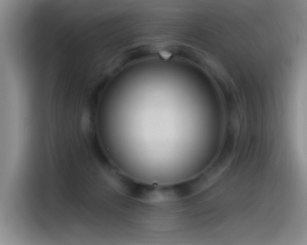 X0000115520270200911061423