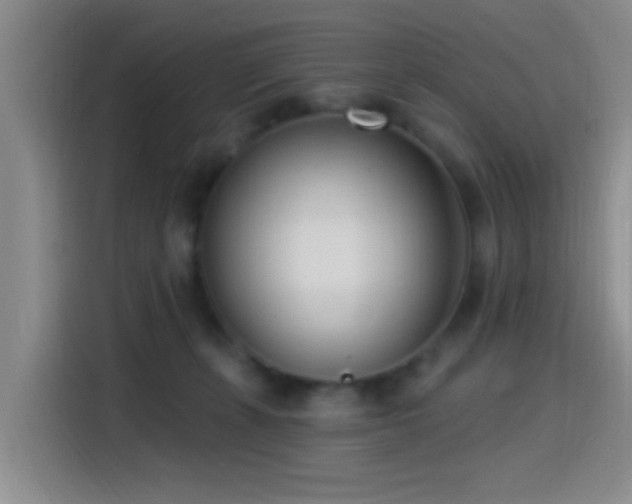 X0000115520271200911061423