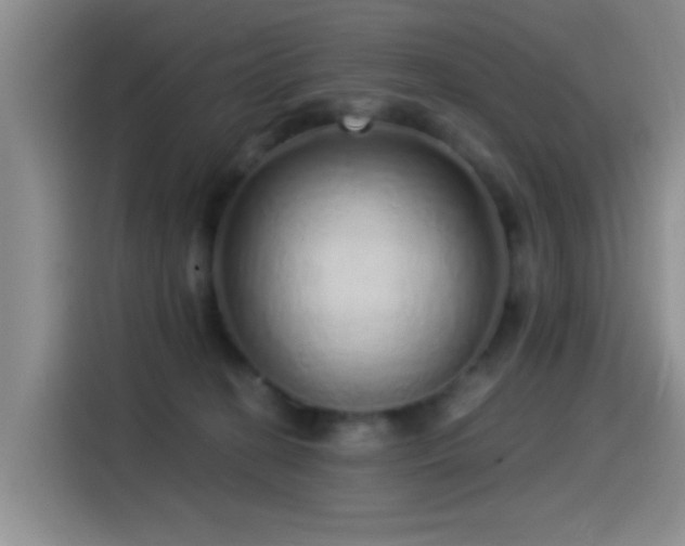 X0000115520274200911061423