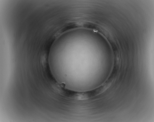 X0000115520275200911061423