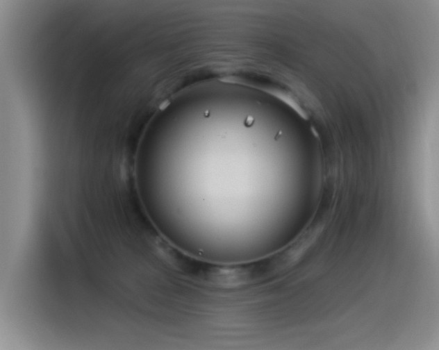 X0000115520277200911061423