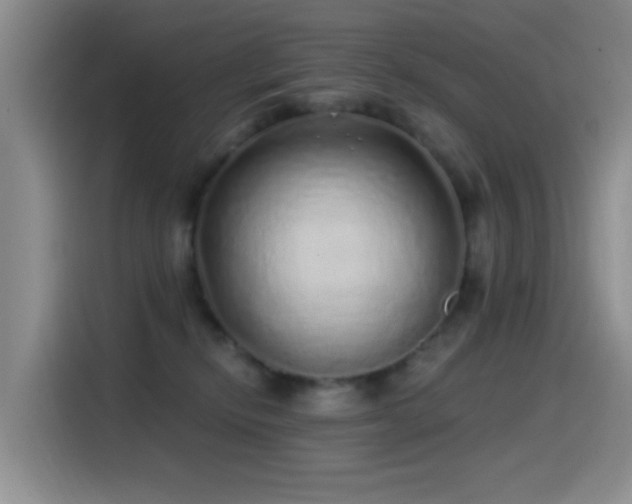 X0000115520278200911061423