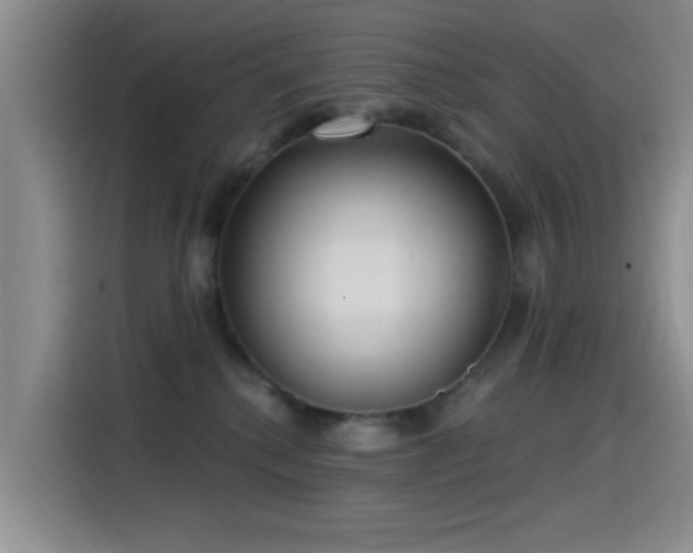 X0000115520280200911061423