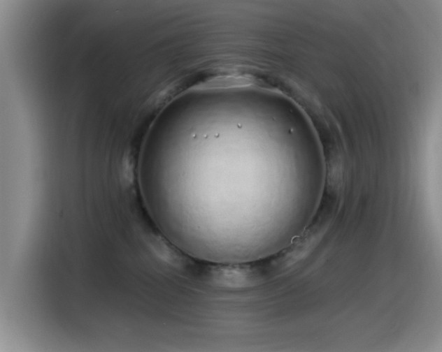 X0000115520282200911061423