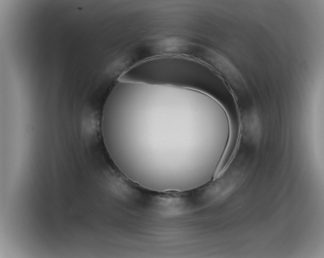 X0000115520284200911061423