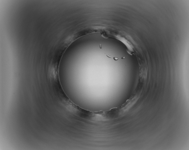 X0000115520285200911061423