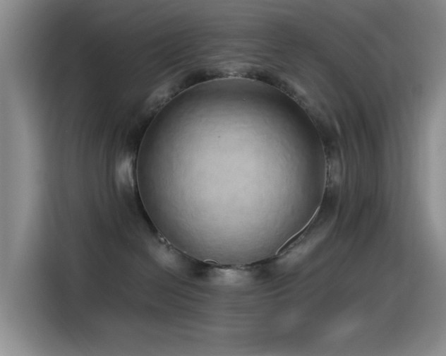X0000115520286200911061423