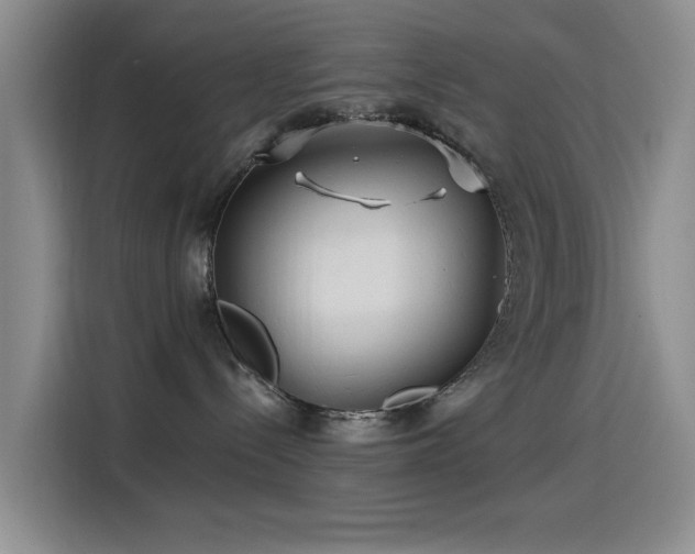 X0000115520288200911061423