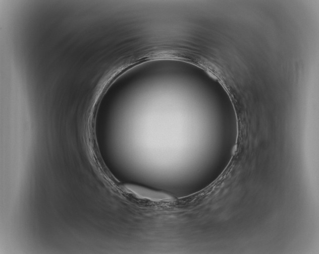 X0000115520289200911061423