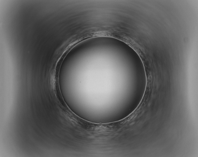 X0000115520290200911061423