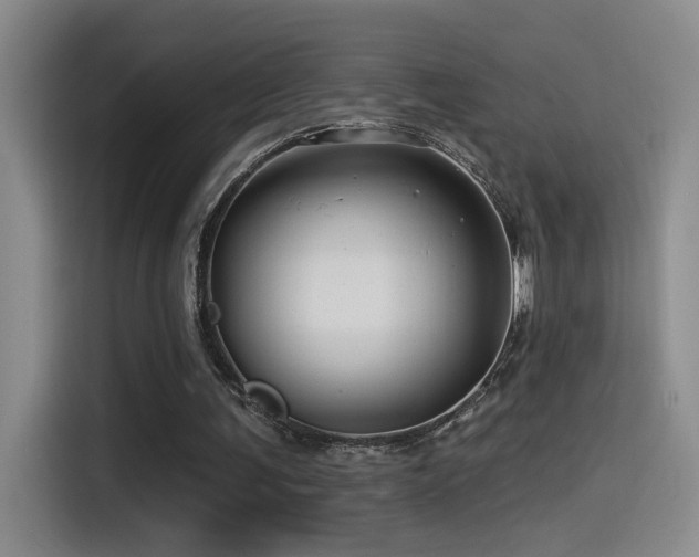 X0000115520291200911061423