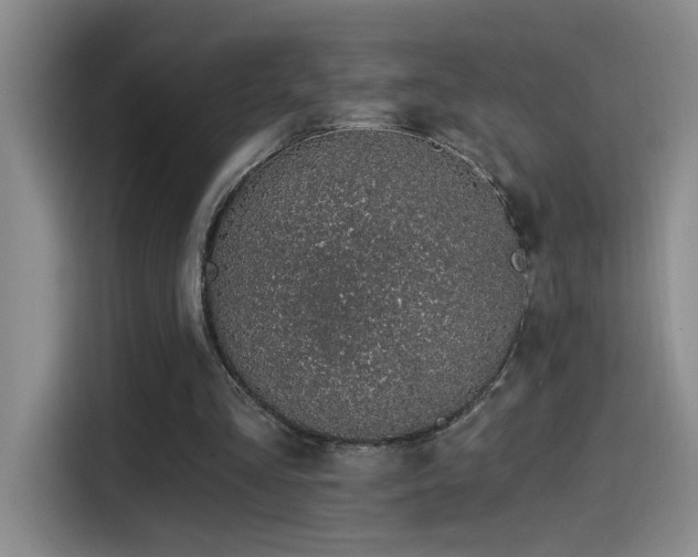 X0000115520293200911061423