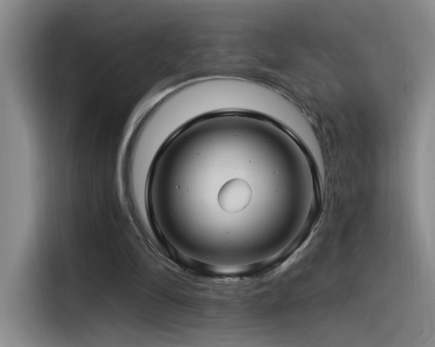 X0000115520294200911061423
