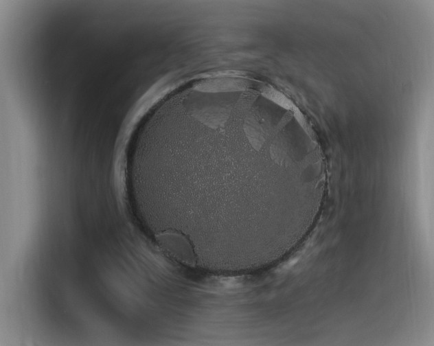 X0000115520295200911061423