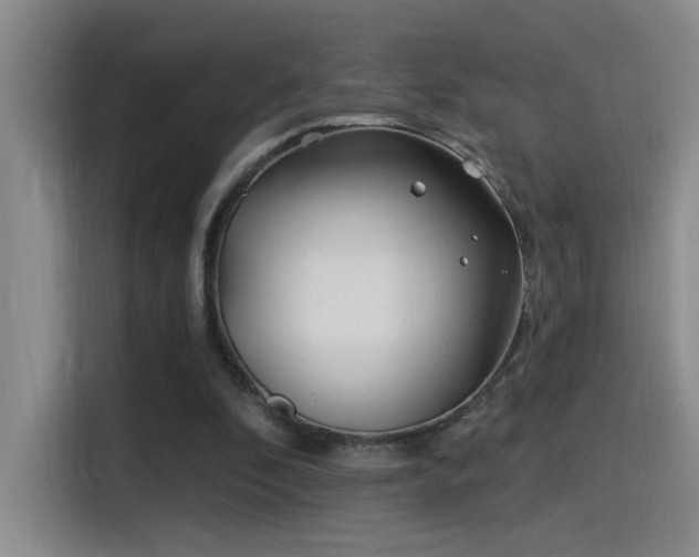 X0000115520296200911061423