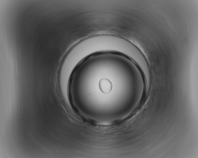 X0000115520297200911061423