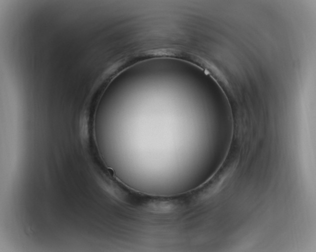 X0000115520299200911061423