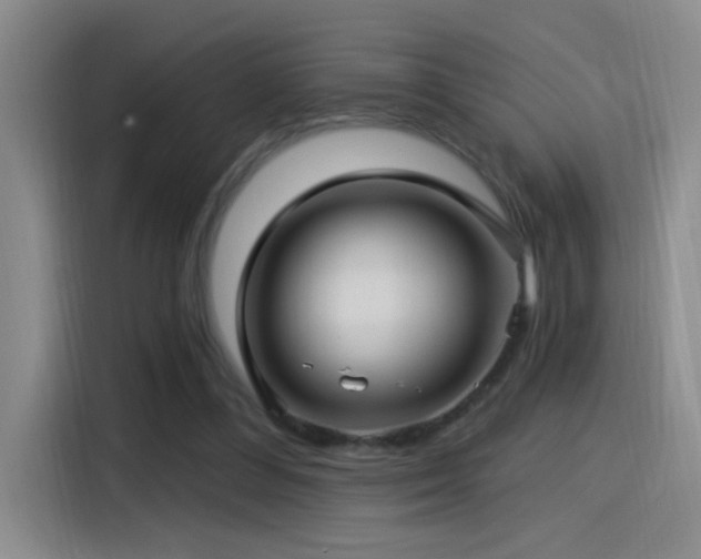 X0000115520300200911061423