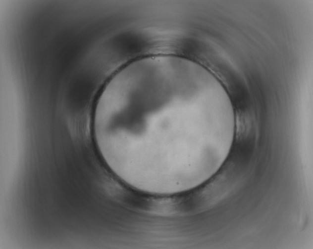 X0000115520301200911061423