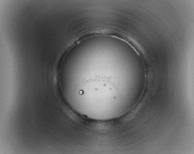 X0000115520305200911061423