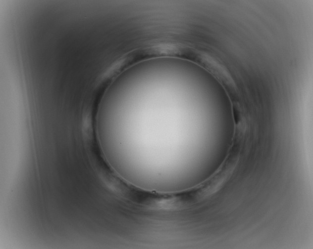 X0000115520306200911061422