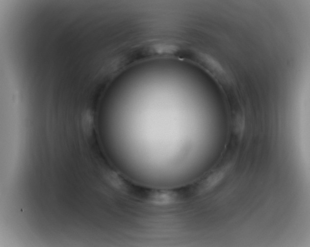 X0000115520321200911061422