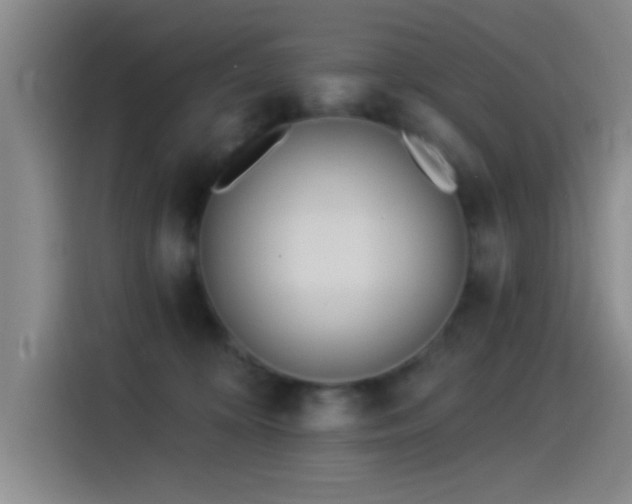 X0000115520324200911061422