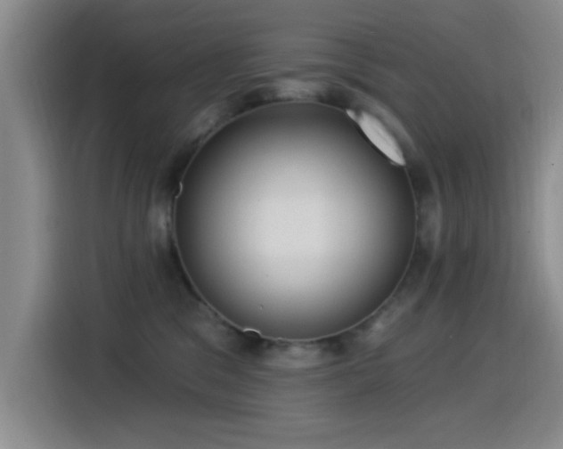 X0000115520329200911061422