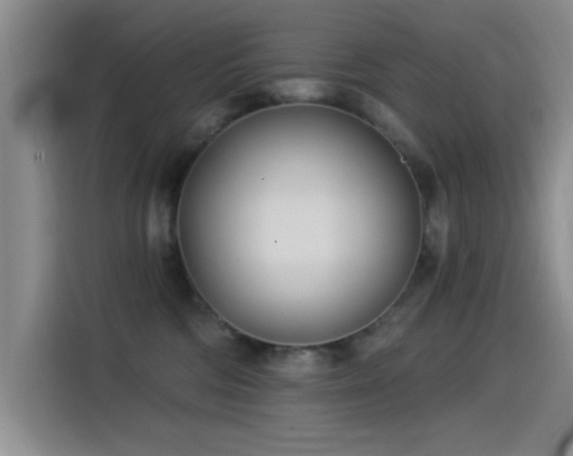 X0000115520330200911061422