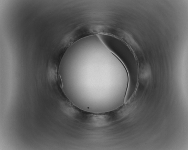 X0000115520332200911061422