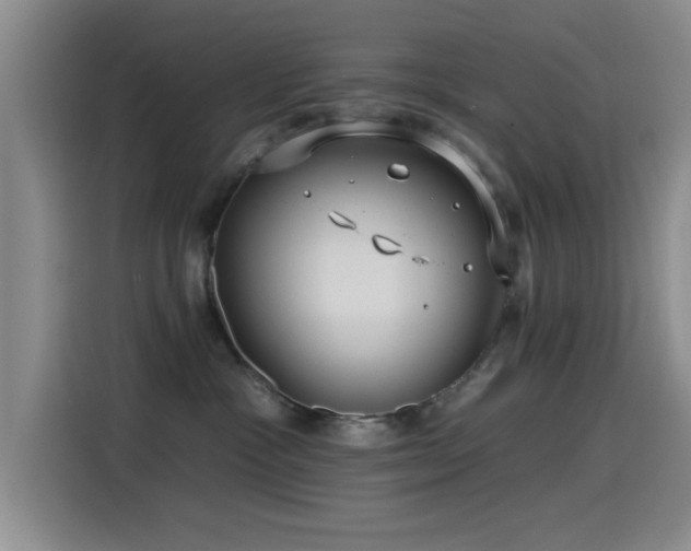 X0000115520333200911061422