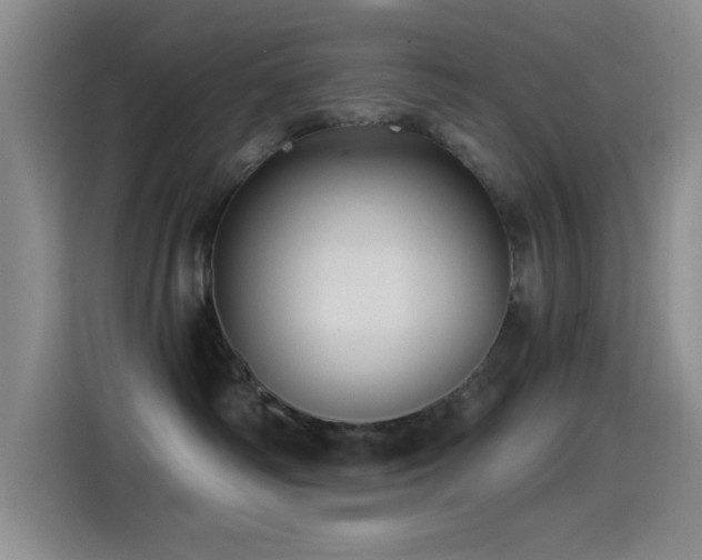 X0000115520334200911061422