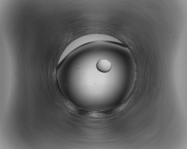 X0000115520336200911061422