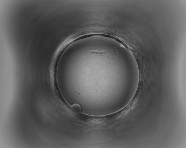 X0000115520341200911061422