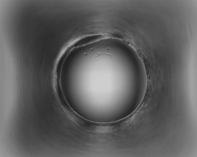 X0000115520342200911061422