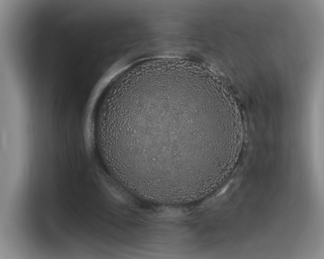 X0000115520343200911061422