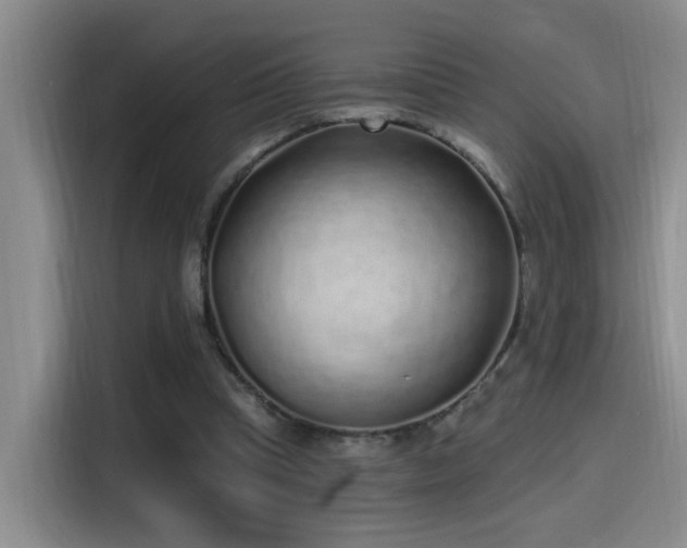 X0000115520345200911061422