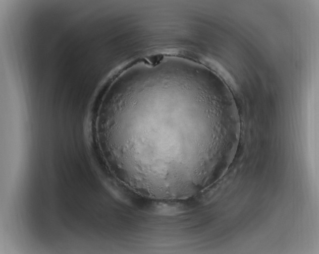 X0000115520346200911061422