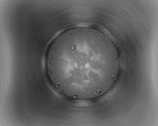 X0000115520347200911061422