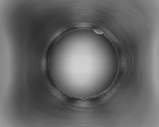 X0000115520351200911061422