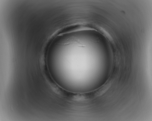 X0000115520354200911061422