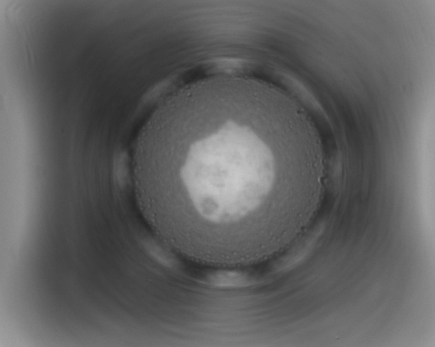 X0000115520361200911061422