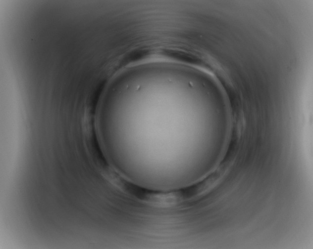 X0000115520366200911061422
