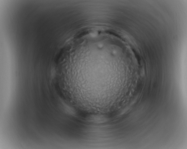 X0000115520367200911061422