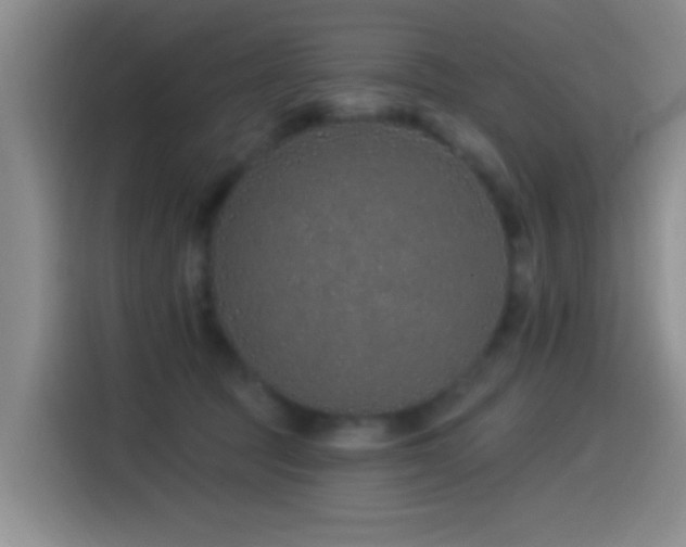 X0000115520369200911061422