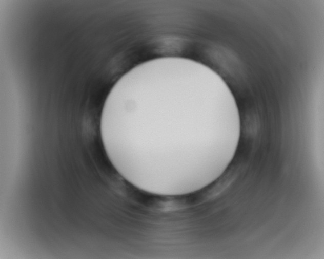 X0000115520370200911061422