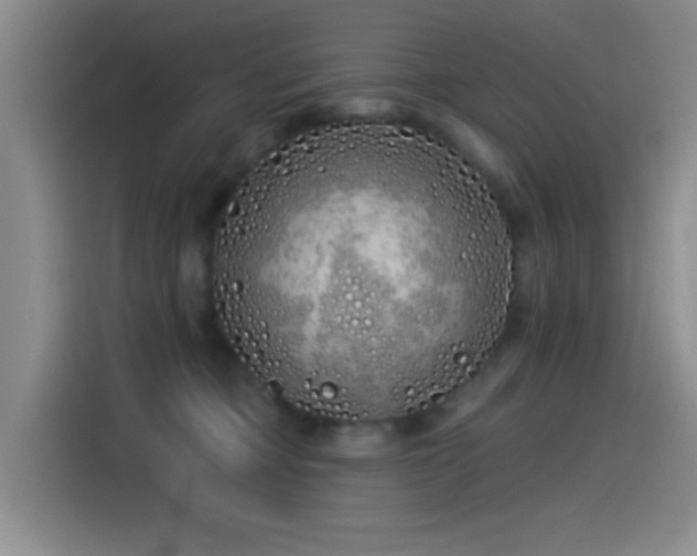 X0000115520373200911061422